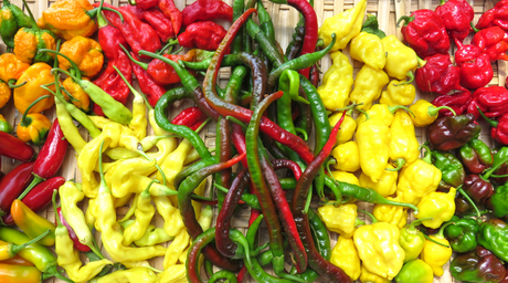 A to Z of Chillis!