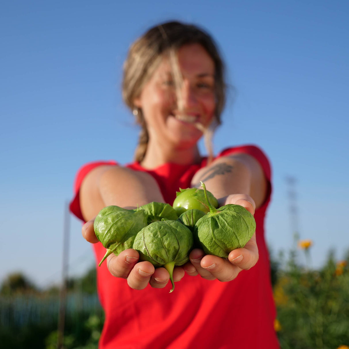 LA CHIPOTLERA - Salsa Marciana - Green Tomatillo and Chilli Salsa